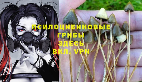 молекула духа Балабаново