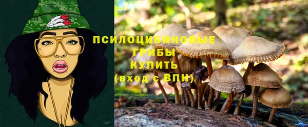 2c-b Балахна