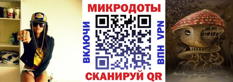 Купить где  Пласт  Галлюциногенные грибы Psilocybine cubensis 